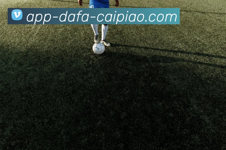 大发彩票发展历程